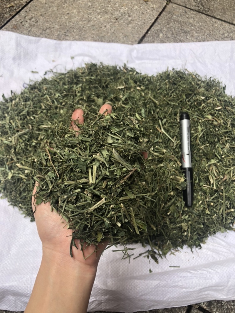 穿心莲合作社选装货叶子达到30-40%可开发票