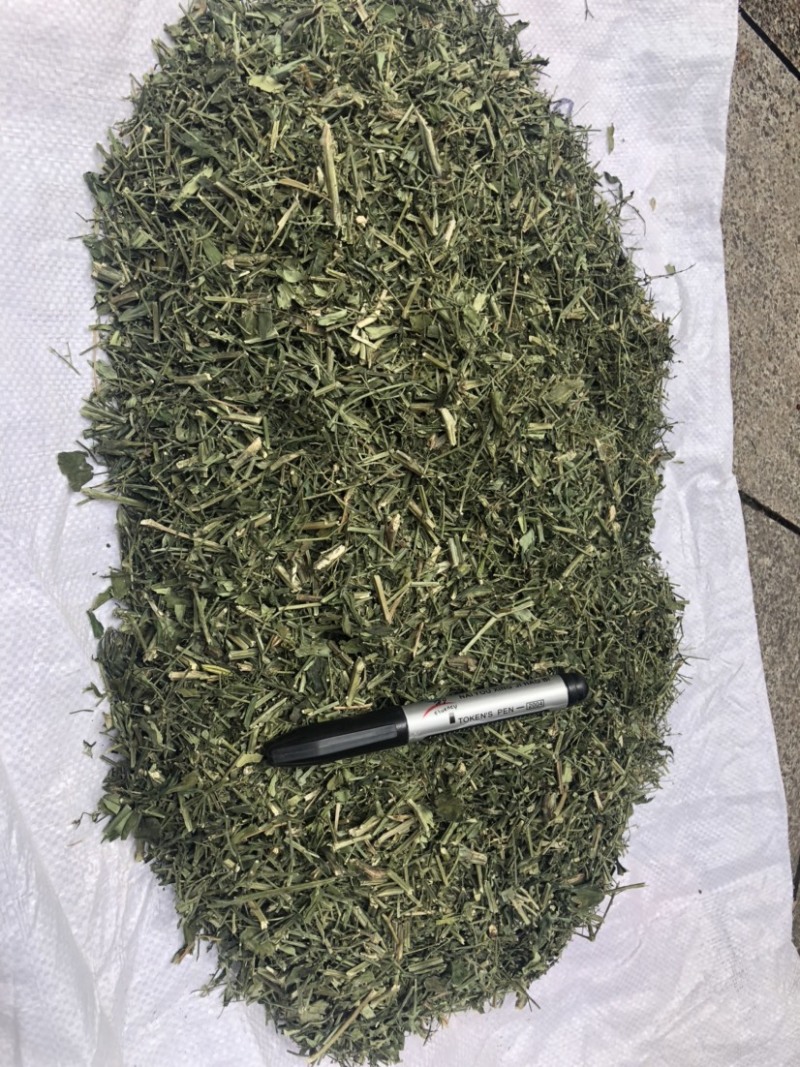 穿心莲合作社选装货叶子达到30-40%可开发票