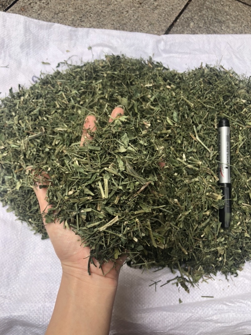 穿心莲合作社选装货叶子达到30-40%可开发票
