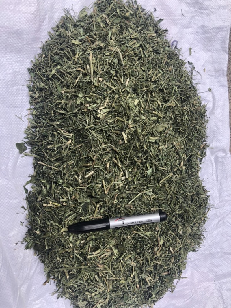 穿心莲合作社选装货叶子达到30-40%可开发票