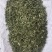 穿心莲合作社选装货叶子达到30-40%可开发票