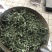穿心莲合作社选装货叶子达到30-40%可开发票