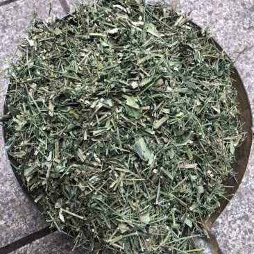 穿心莲合作社选装货叶子达到30-40%可开发票