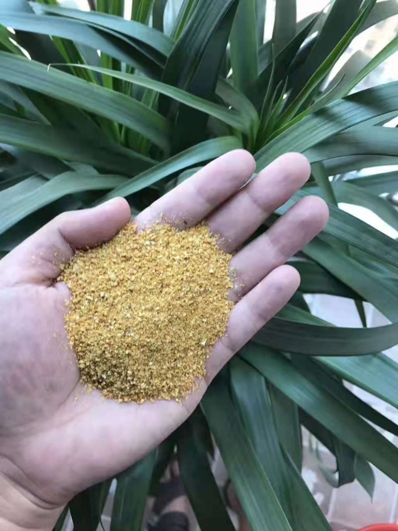 玉米酒糟DDGS厂家直销，现货供应全国发货。