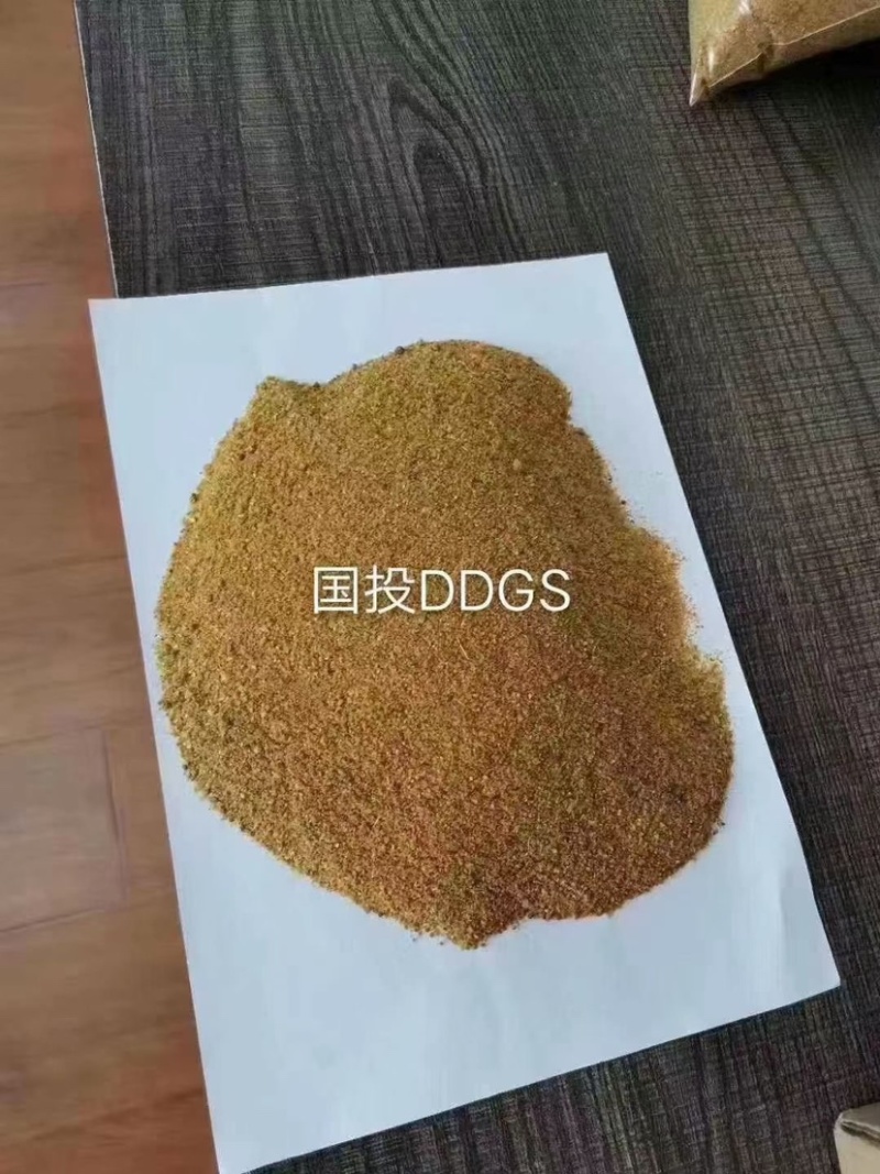 玉米酒糟DDGS厂家直销，现货供应全国发货。