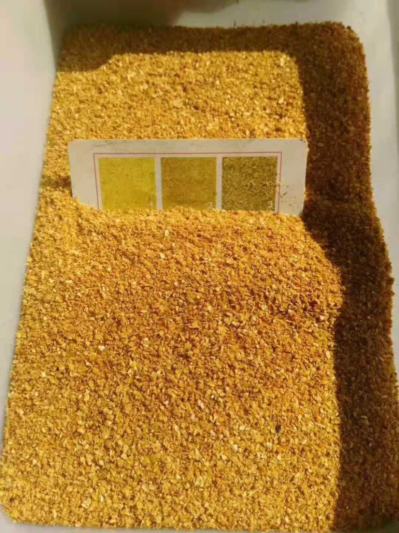 玉米酒糟DDGS厂家直销，现货供应全国发货。
