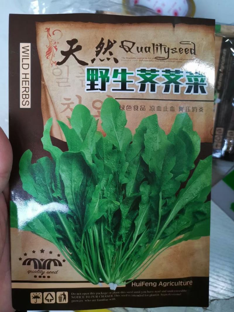 荠荠菜种子直立型商品好抗病性强耐寒性强营养价值高