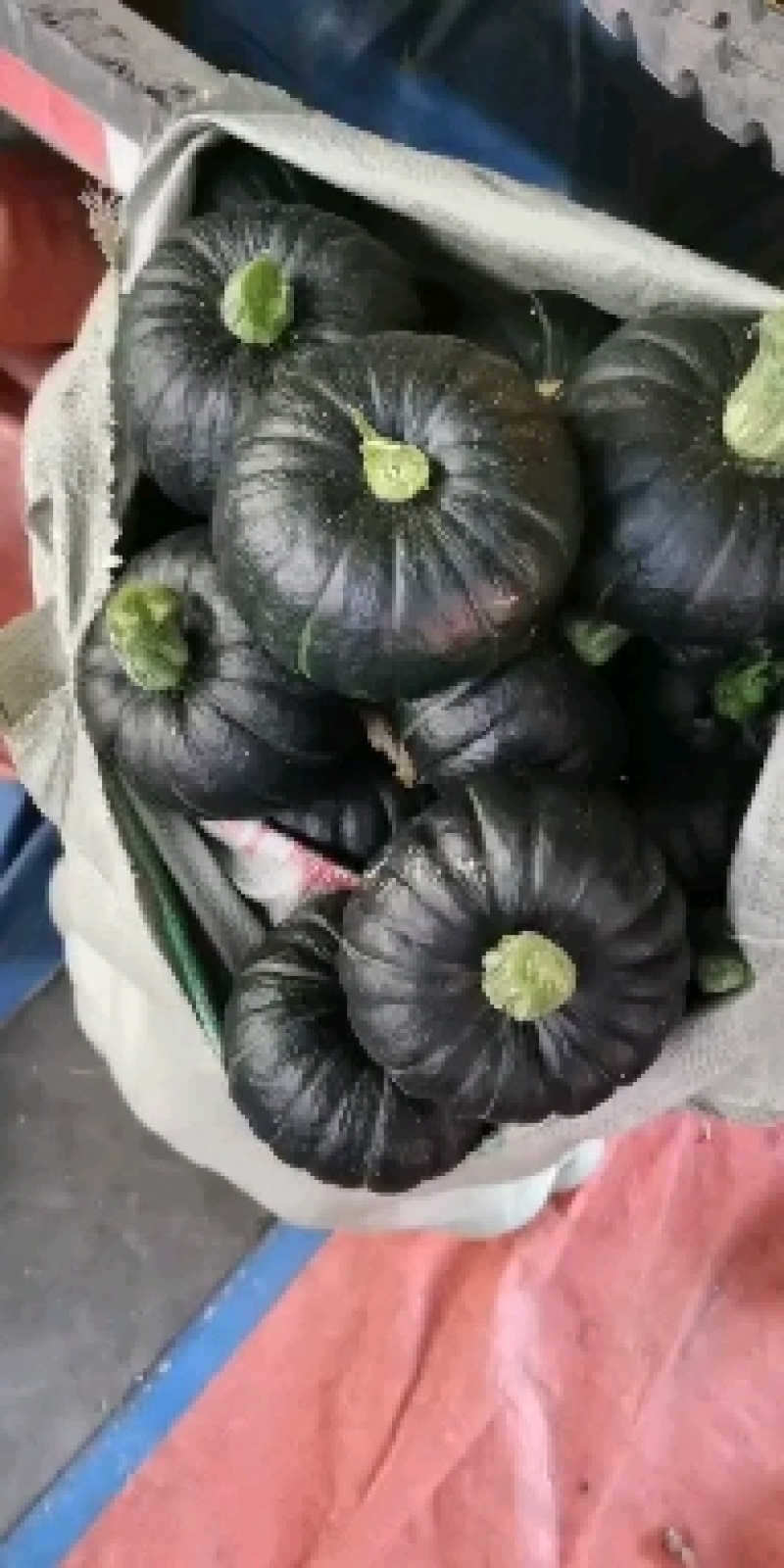 贝贝南瓜，电商货，超市货，常年供应，大量有货