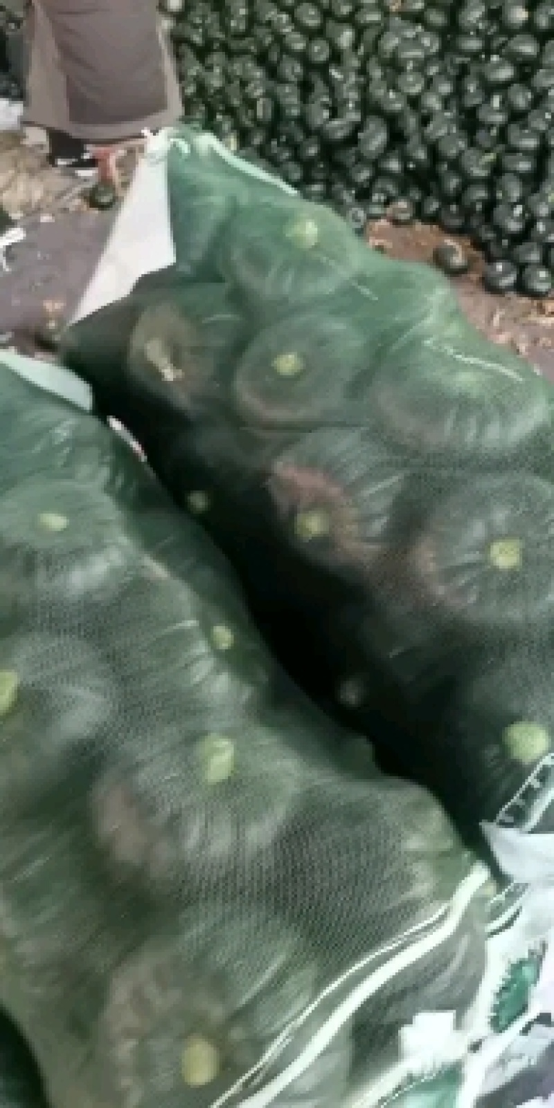 贝贝南瓜，电商货，超市货，常年供应，大量有货