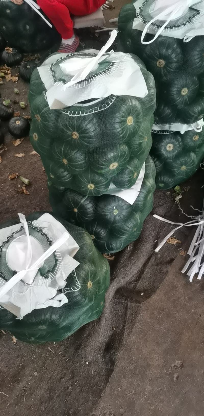 贝贝南瓜，电商货，超市货，常年供应，大量有货