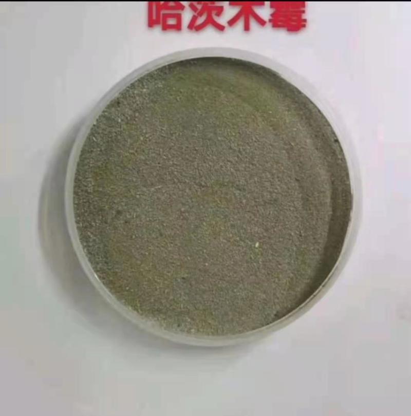 《哈茨木霉菌》包邮，土传病害克星，有效活菌20亿/克厂家