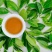 （清香）广东肇庆汇东单丛茶叶有限公司