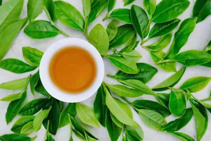 （清香）广东肇庆汇东单丛茶叶有限公司