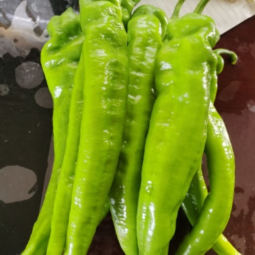 黄皮尖椒