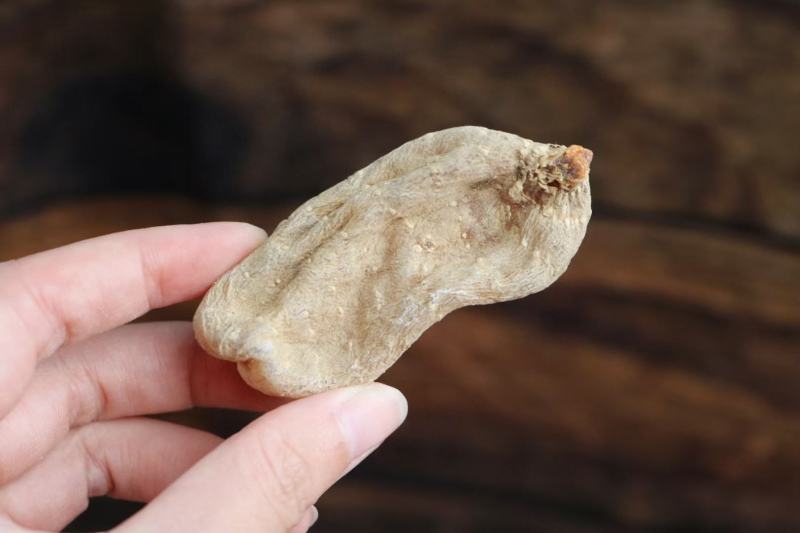 广州人20头野生云南昭通天麻非切片一件代发批发