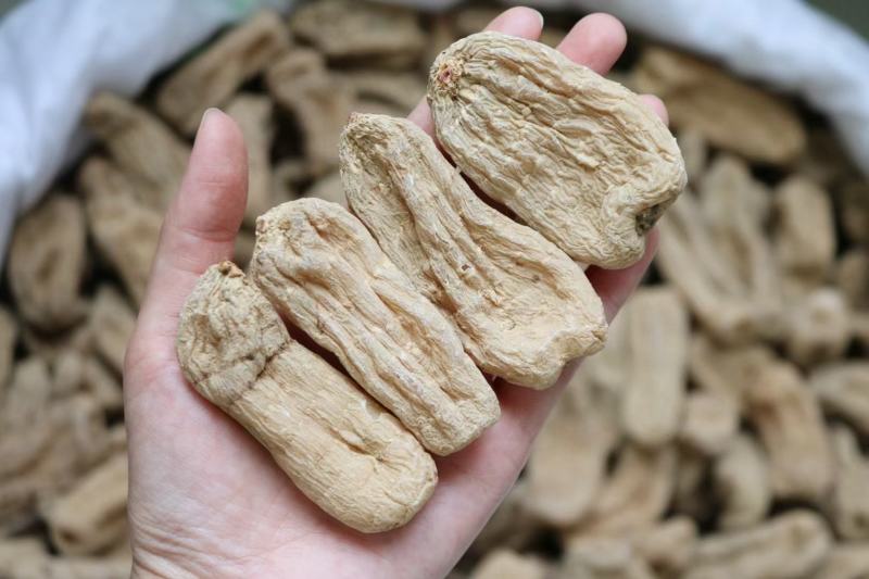 广州人20头野生云南昭通天麻非切片一件代发批发