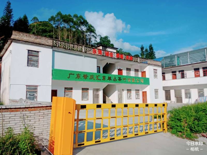 （蜜香）广东肇庆汇东单丛茶叶有限公司