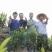 （蜜香）广东肇庆汇东单丛茶叶有限公司