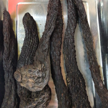中药材肉苁蓉正品片装大芸泡水泡酒肉从容
