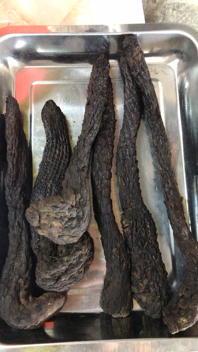 中药材肉苁蓉正品片装大芸泡水泡酒肉从容