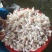 鲜鱼泡干鱼胶大量供应中