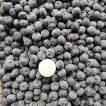 日照莱克系蓝莓，代办可包装。