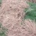 基地现挖芦笋种苗～芦笋苗批发量大优惠，质量诚信信得过单位
