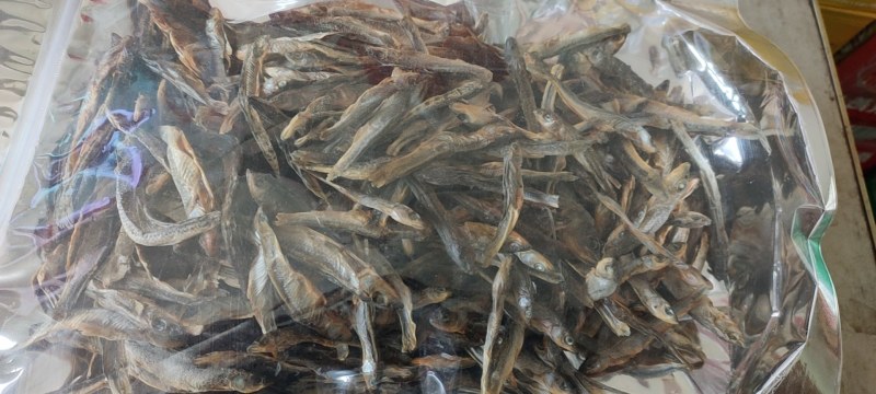 大兴安岭呼玛河天然冷水鱼干肉质细腻北极神柳500g包邮