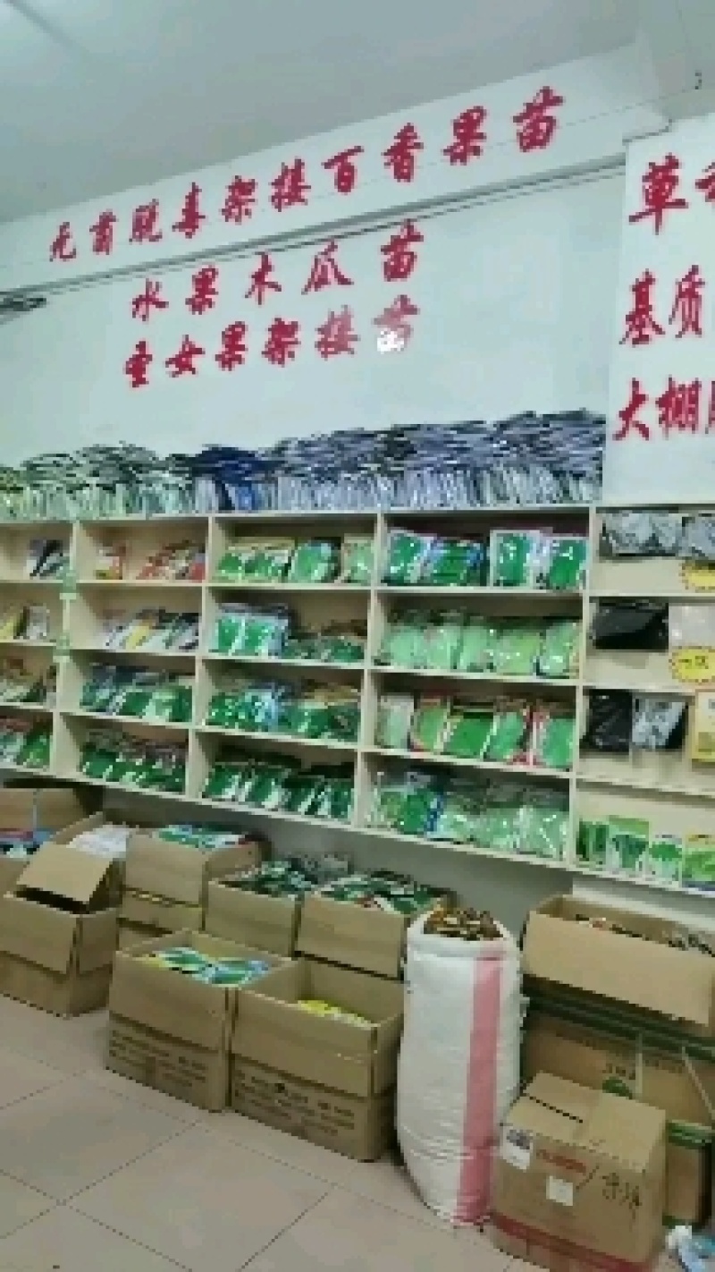 【牛商推荐】农友香瓜种子甜瓜种子资质齐全可视频看货