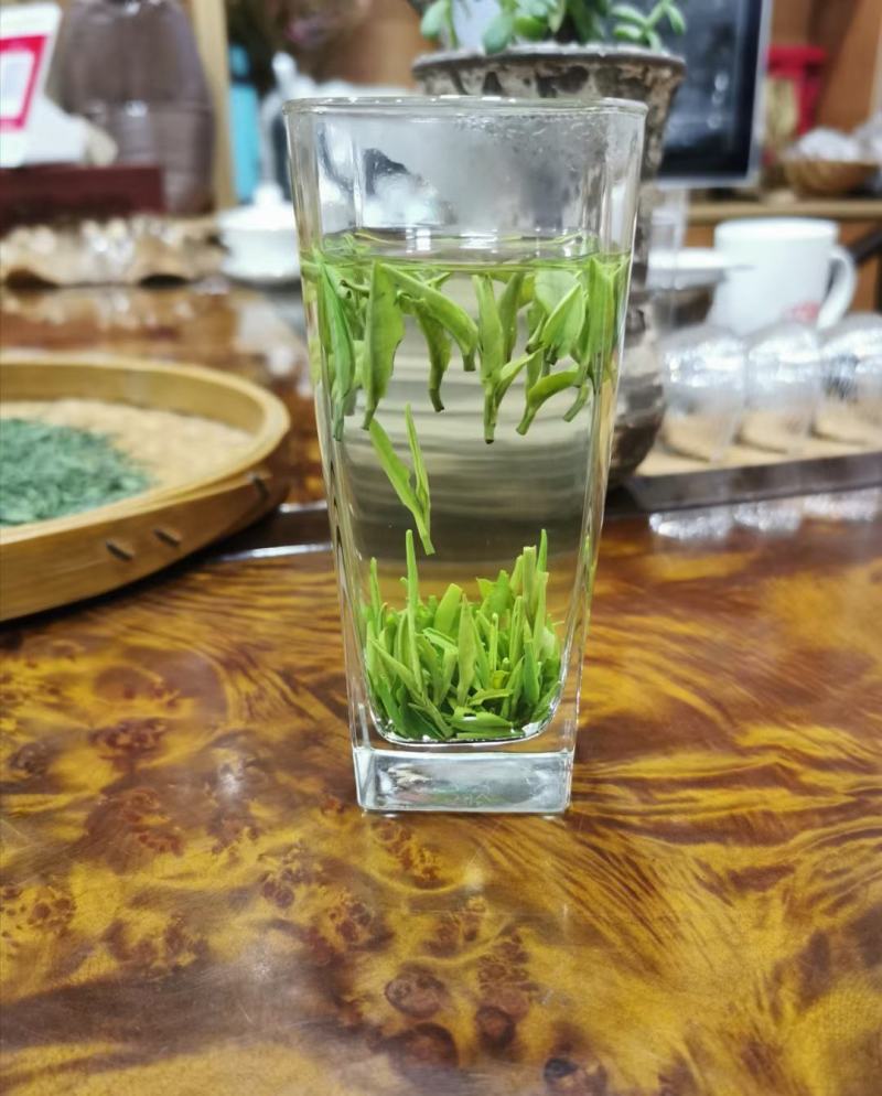 湄潭翠芽雀舌茶叶贵州绿茶500克包邮