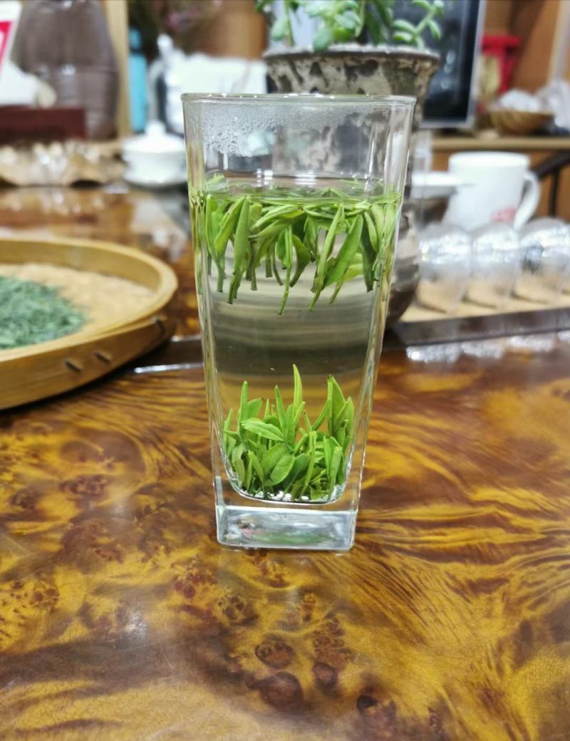 湄潭翠芽雀舌茶叶贵州绿茶500克包邮