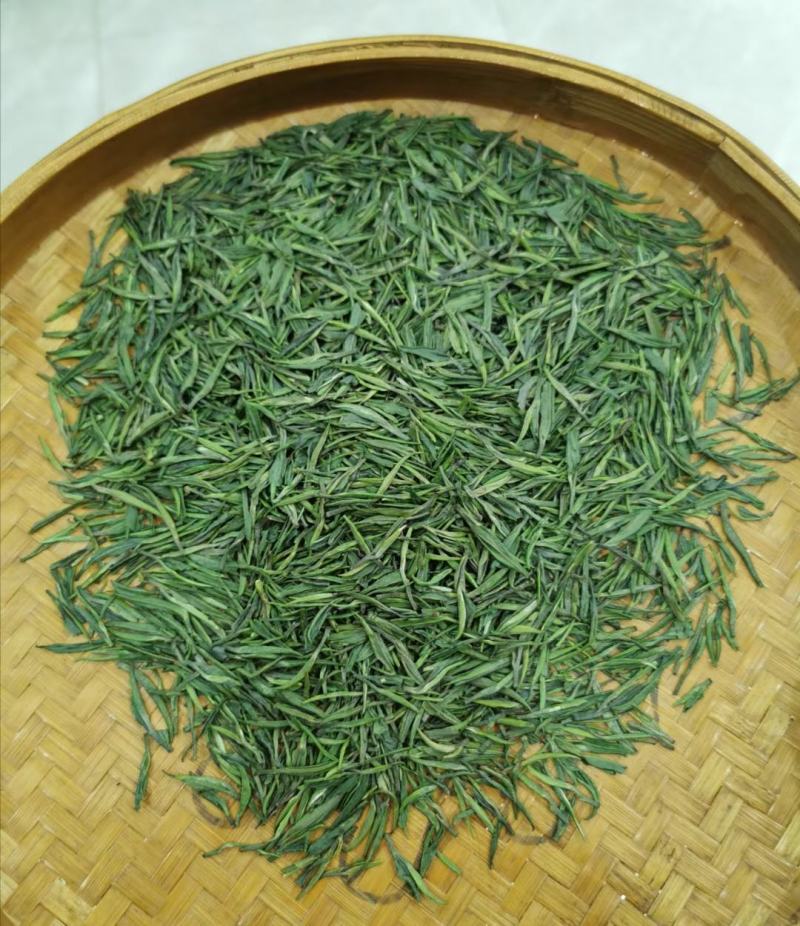 湄潭翠芽雀舌茶叶贵州绿茶500克包邮
