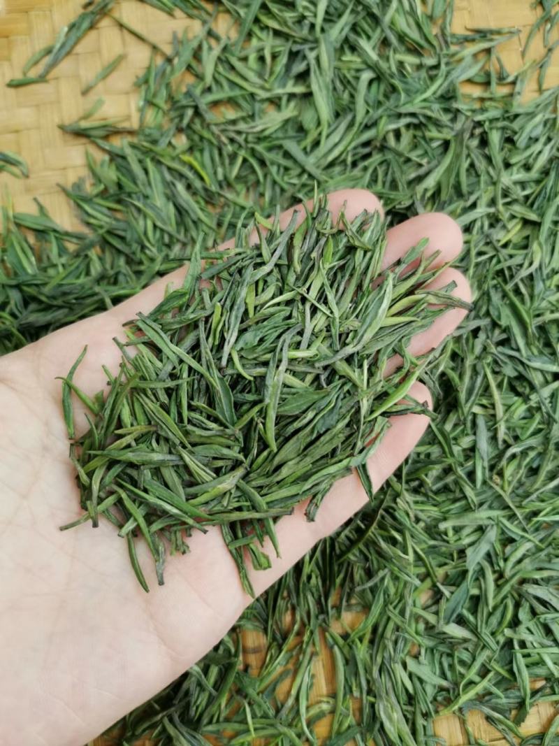 湄潭翠芽雀舌茶叶贵州绿茶500克包邮