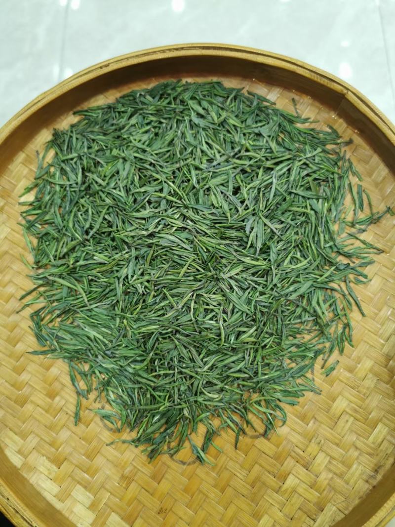 湄潭翠芽雀舌茶叶贵州绿茶500克包邮