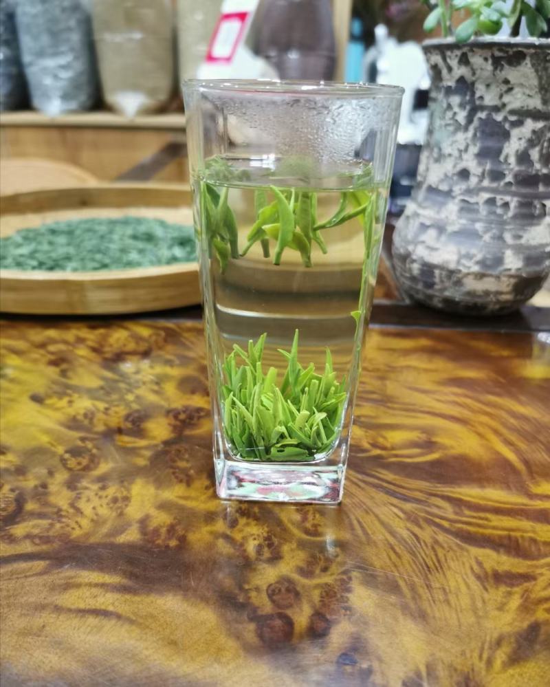 湄潭翠芽雀舌茶叶贵州绿茶500克包邮
