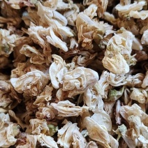 扁豆花干货常年经营各种中药材