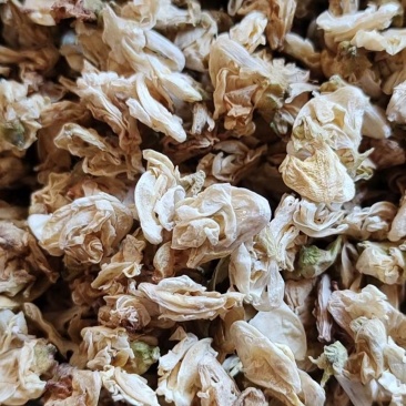 扁豆花干货常年经营各种中药材