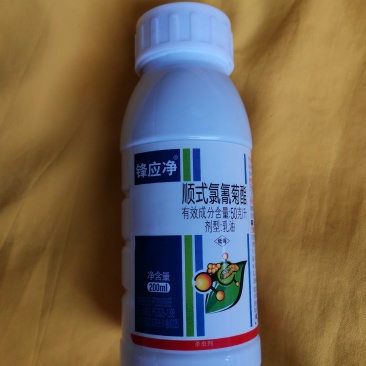 针蜂药果实蝇农药丝瓜甜瓜火龙果柑橘果实蝇针蜂专用杀虫剂