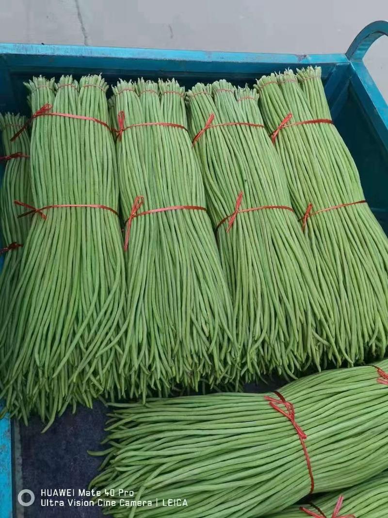 青条长豆角精品豇豆，长度60～细条产地代发全国各地。