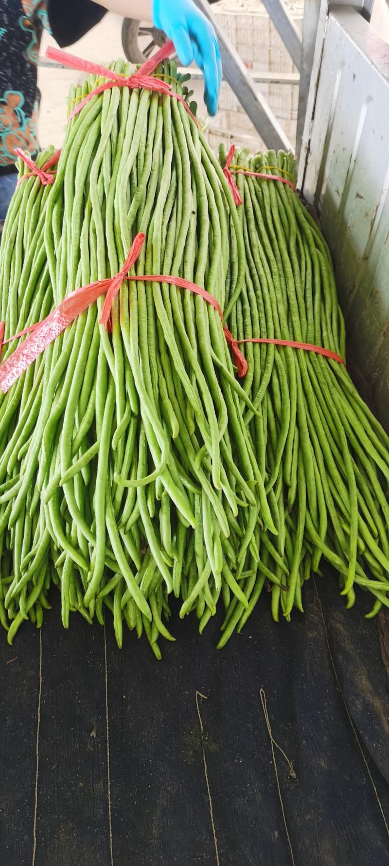 青条长豆角精品豇豆，长度60～细条产地代发全国各地。