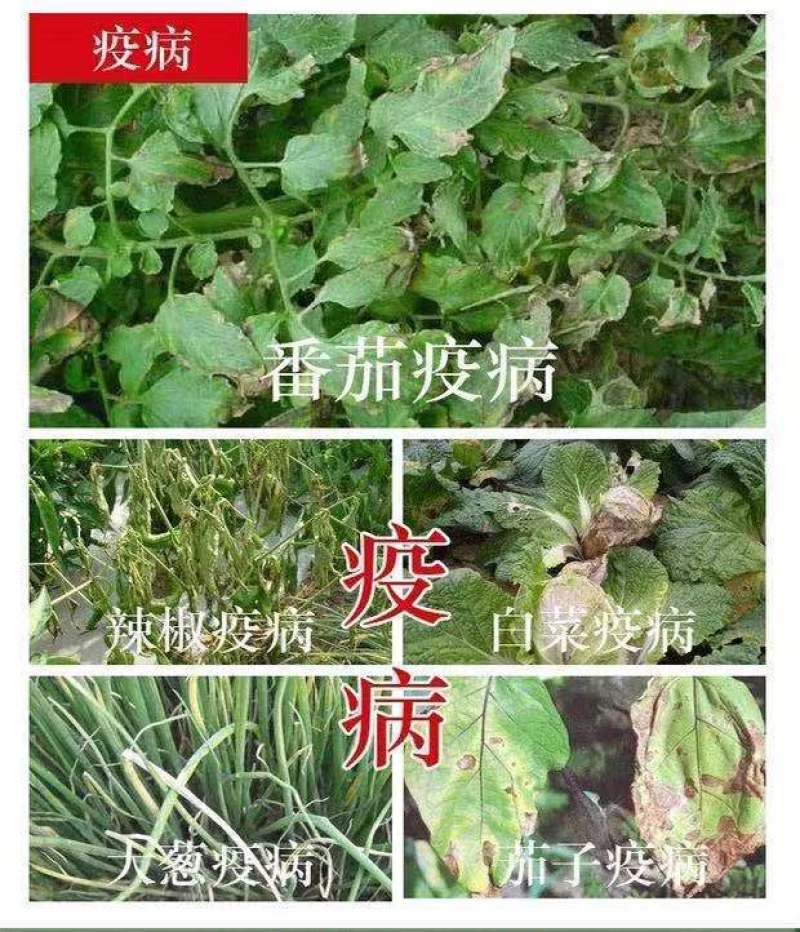 易扑瑞荣邦70%烯酰霜脲氰马铃薯蔬菜葡萄芋疫病农药杀菌剂