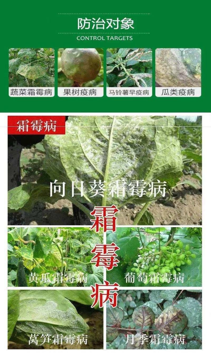 易扑瑞荣邦70%烯酰霜脲氰马铃薯蔬菜葡萄芋疫病农药杀菌剂