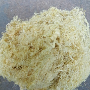 正宗水竹竹茹