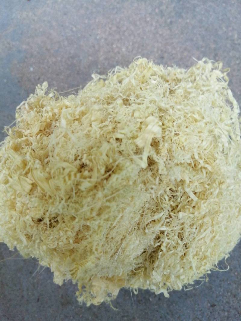 正宗水竹竹茹