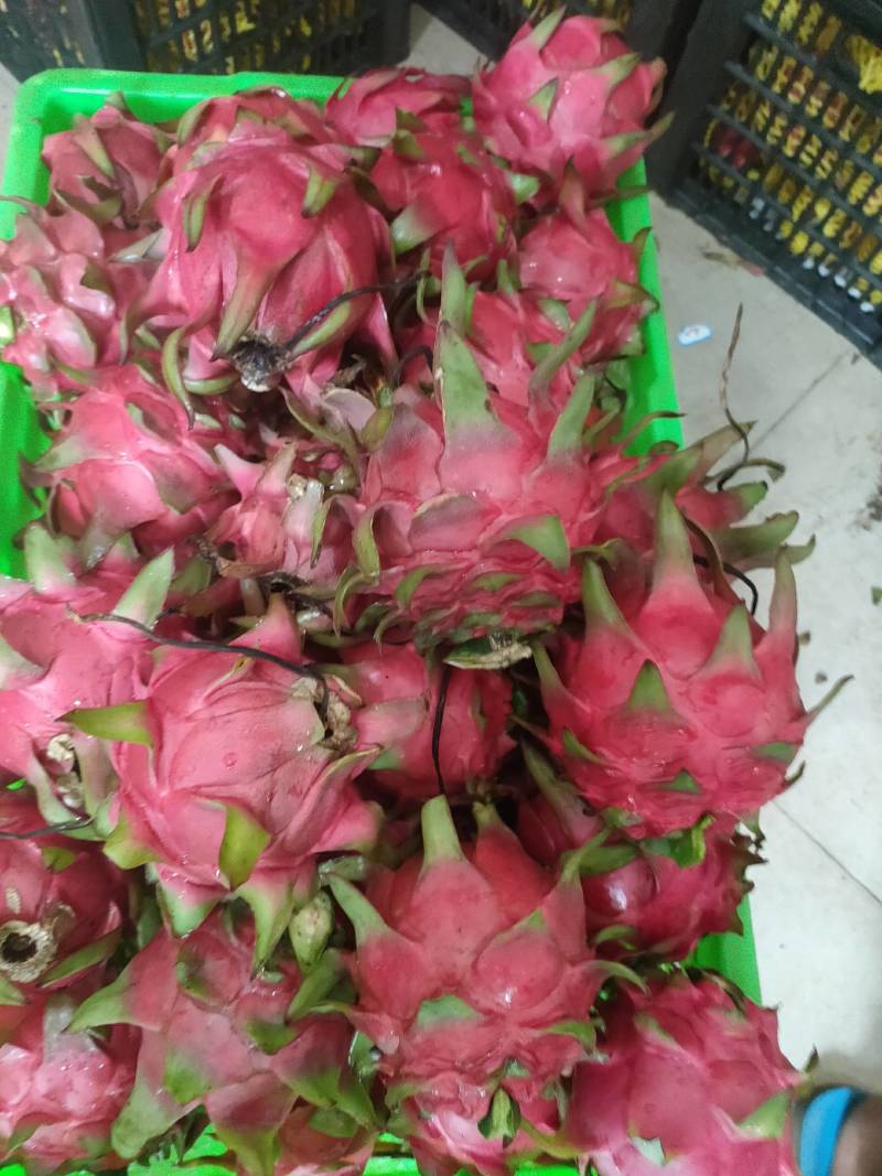 火龙果