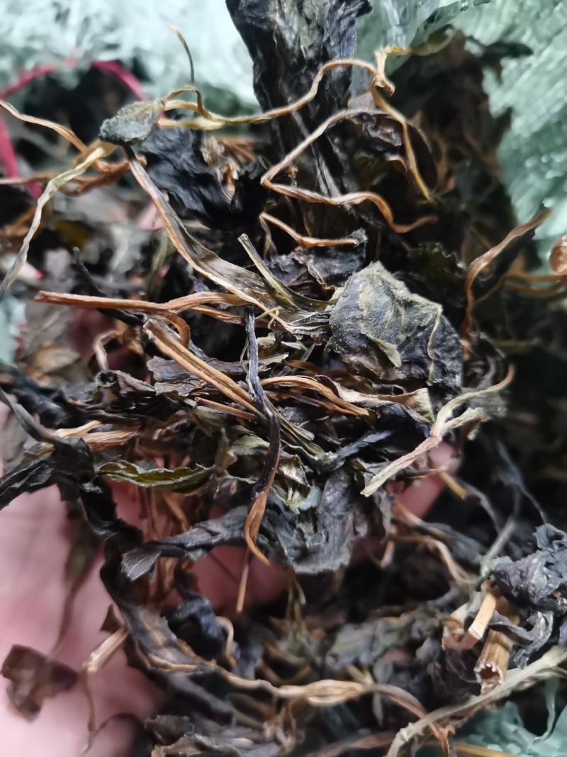 败酱草，苦斋菜，苦斋婆