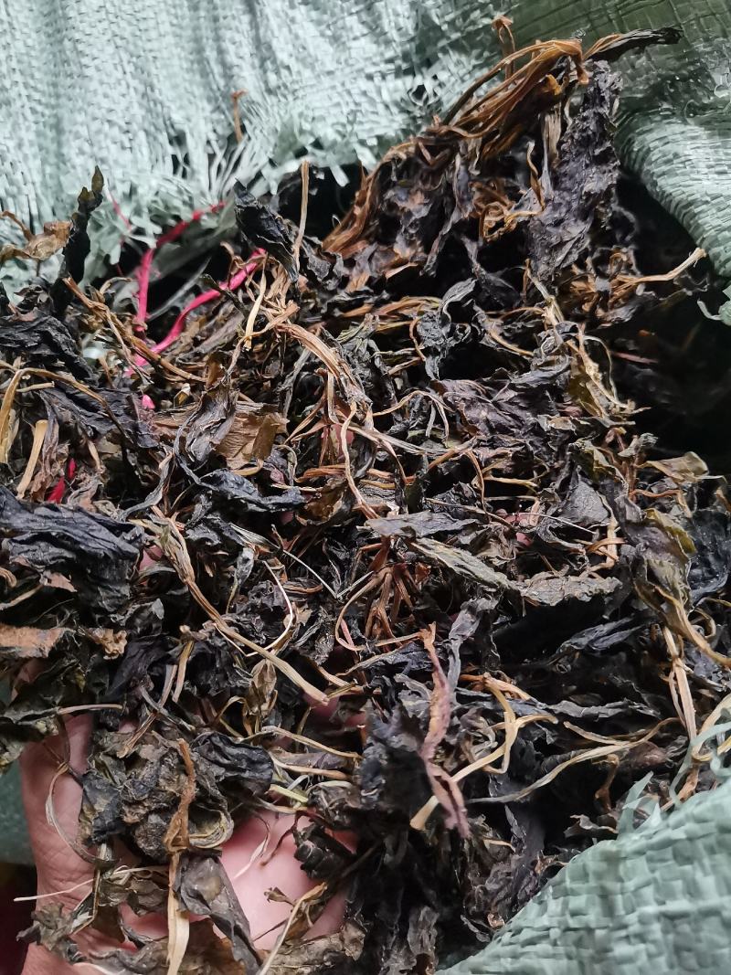 败酱草，苦斋菜，苦斋婆