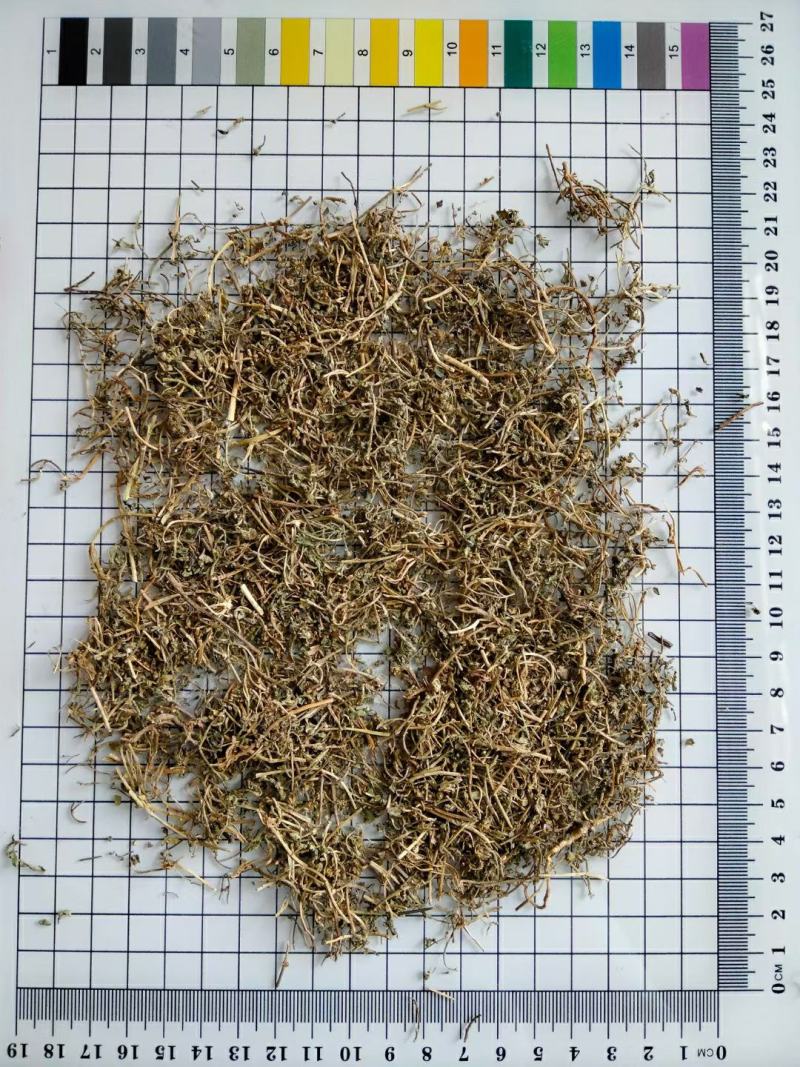 鹅不食草中药材干货常年经营各种中药材