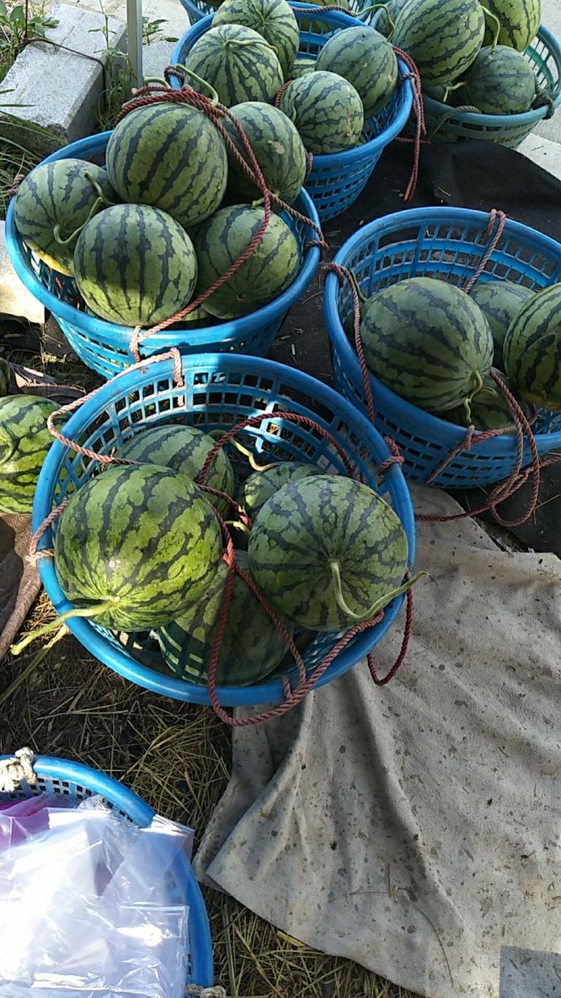 基地直供，货好，价低，欢迎到地品尝