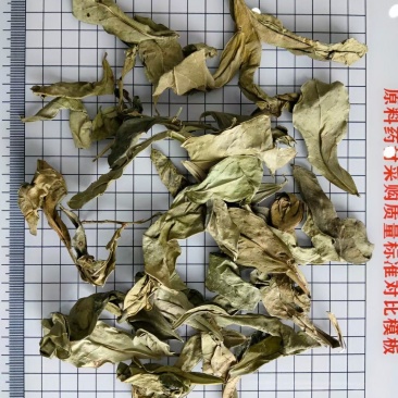 龙脷叶中药材干货常年经营各种中药材